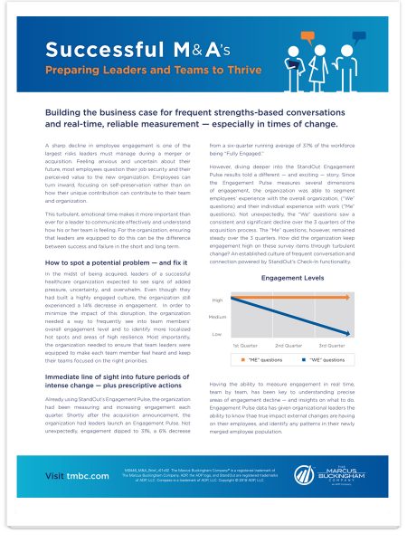 Image of Successful Mergers and Acquisitions PDF.